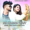 About Na Karna Wait Song